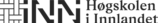 INN logo