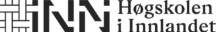 INN logo